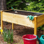 Why Are Tomatoes Rotting At The Bottom: Top Causes And Solutions