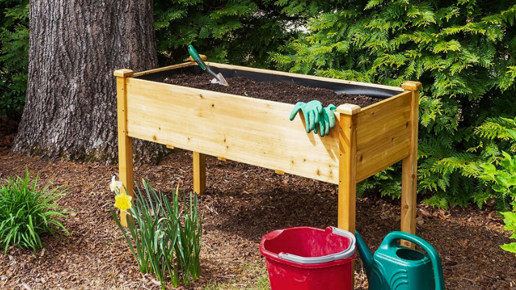 Best Elevated Garden Beds for Your Veggie Patch