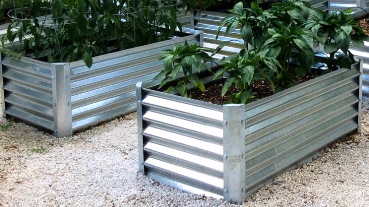 Best Galvanized  Raised Garden Beds to Elevate Your Garden