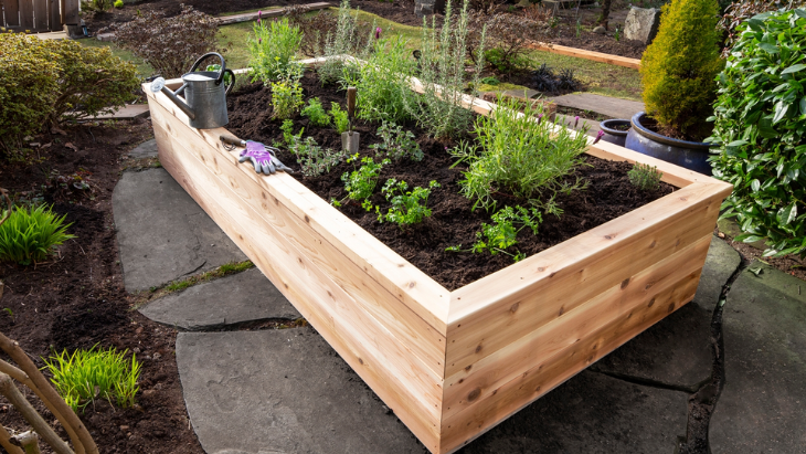 Best Cedar Raised Garden Beds in 2024