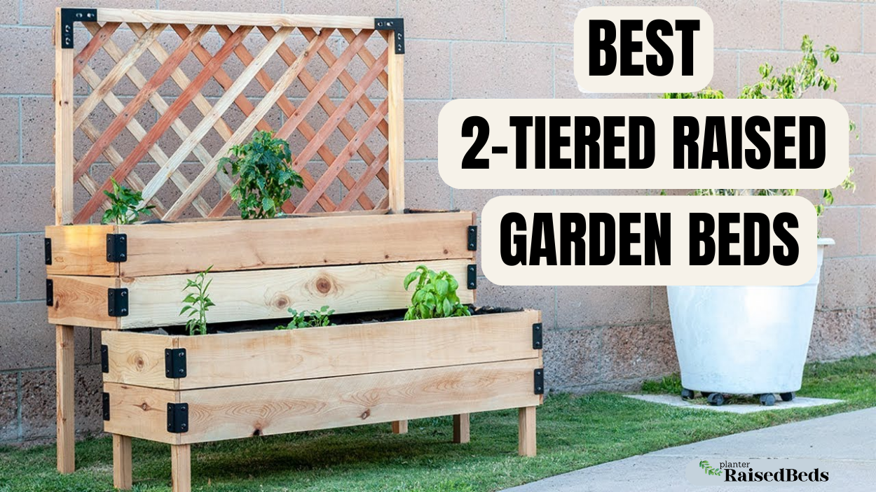 Best 2-Tiered Raised Garden Beds for Vegetables, Herbs, and Flowers