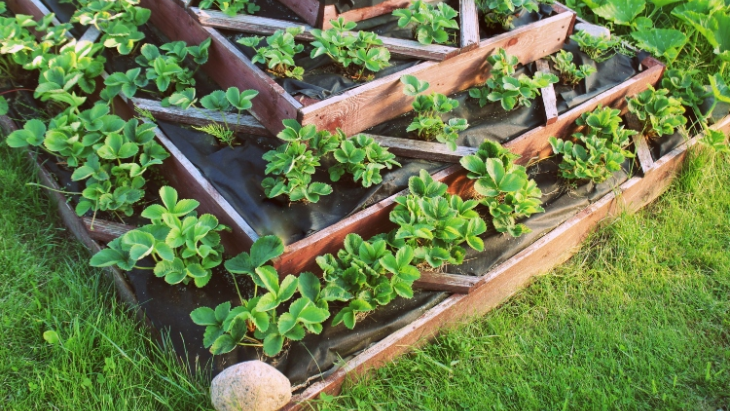 15 Best 3-Tiered Raised Garden Beds for Any Outdoor Space