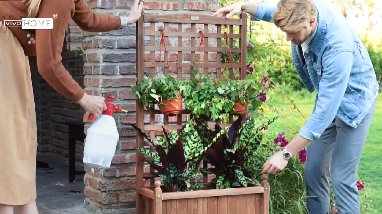 Best Raised Garden Beds With Trellis for Your House in 2024