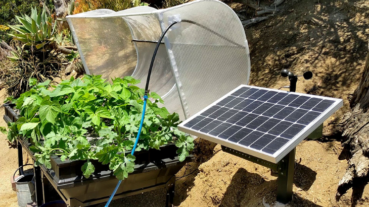 Best Self-Watering Raised Garden Beds For Your Garden in 2024