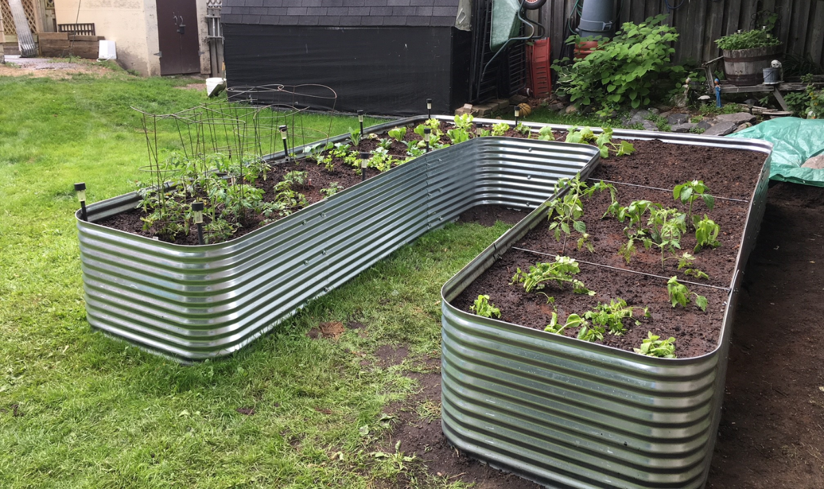 The 8 Best Corrugated Metal Raised Beds for Long-Lasting Gardens