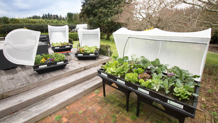 Best Vegepod Raised Garden Beds for Your Garden