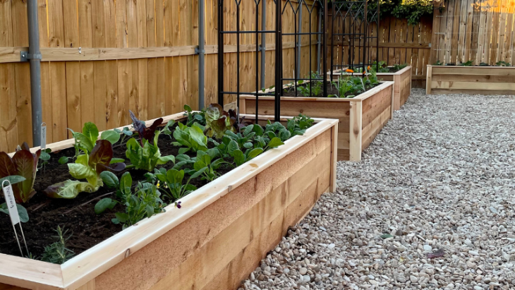 8 Best Wooden Raised Garden Beds: Recommendations from Experienced Gardeners