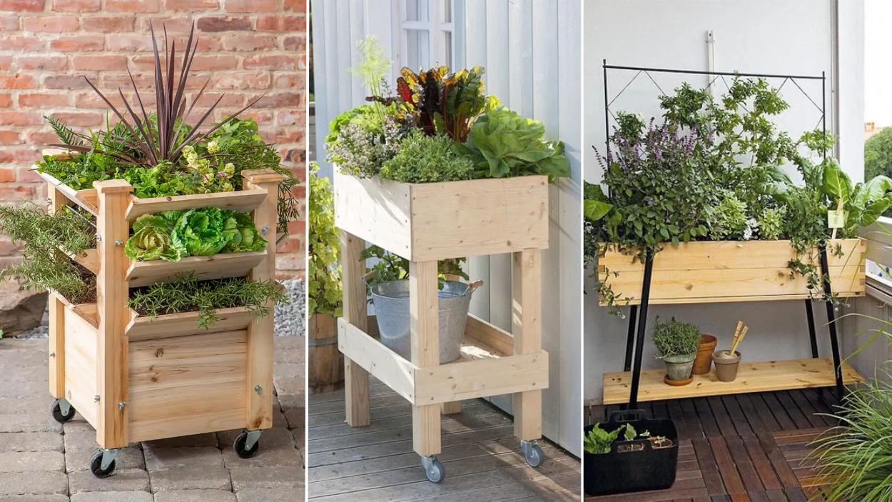 The 15 Best Raised Garden Beds on Wheels for Mobility in 2024