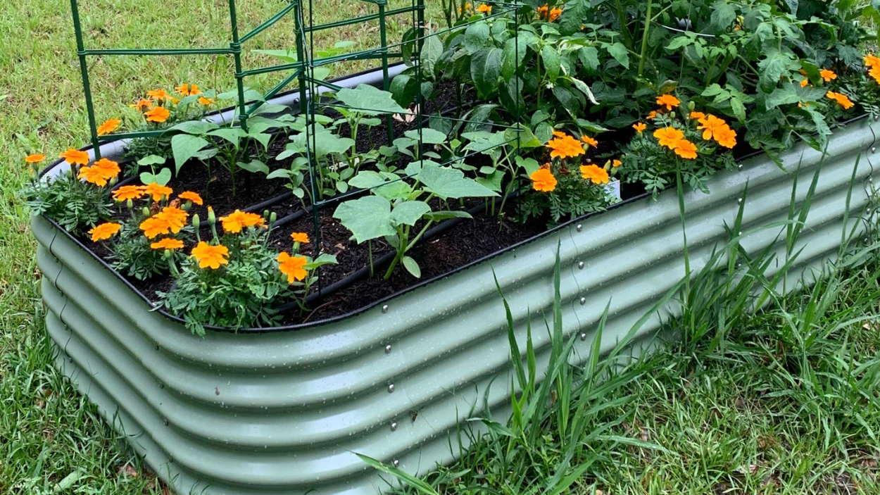 13 Best Vego Raised Garden Beds for a Sustainable Garden