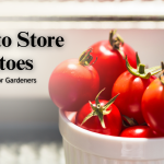 How to Build Raised Garden Beds That Will Last for Years