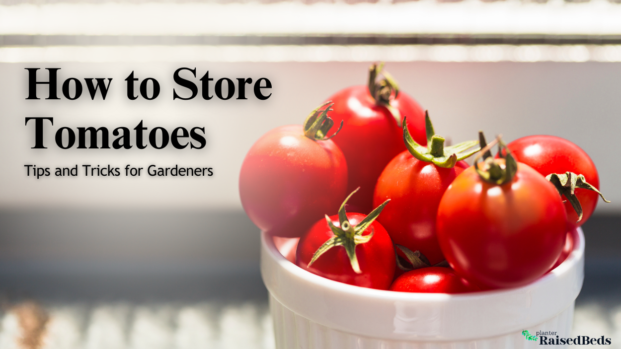 How To Store Tomatoes