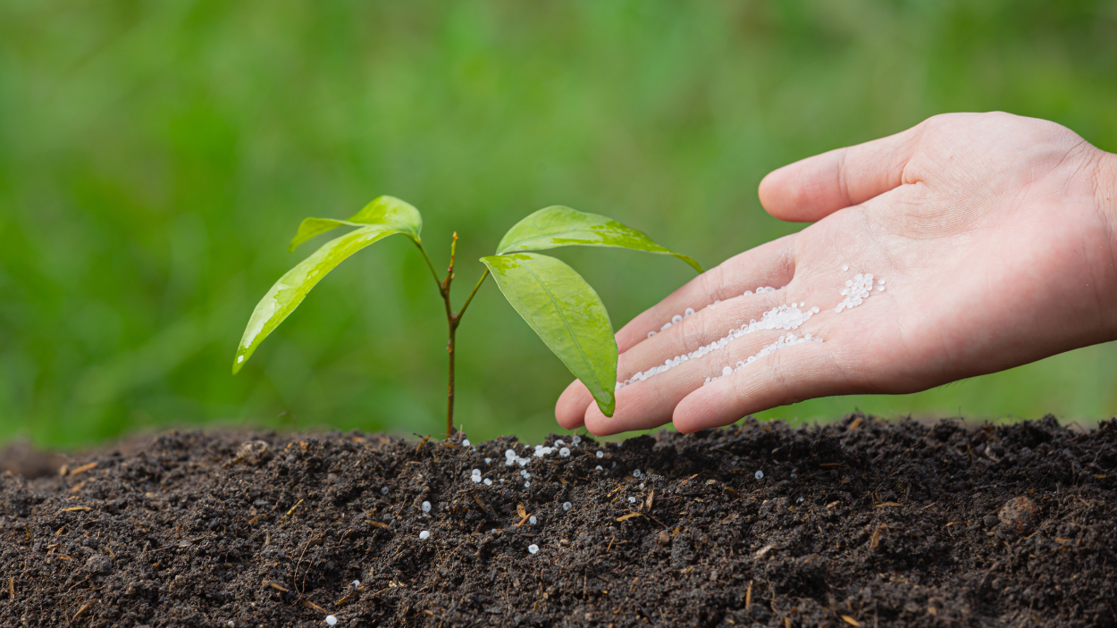 Top 7 Fertilizer Mistakes Gardeners Make