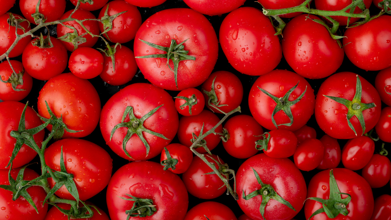 Types of Tomatoes You Should Know: A Comprehensive Guide
