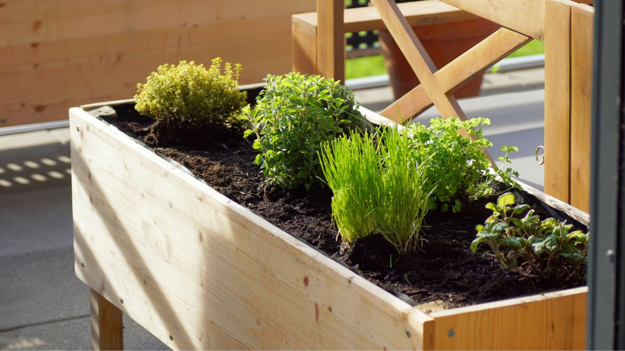 Best Tall Raised Garden Beds: The Top Picks for 2024