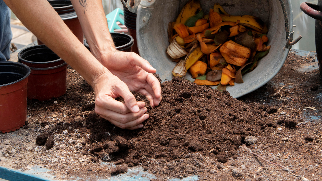 Understanding the Difference Between Compost and Mulch