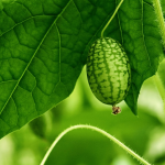 18 Best Metal Raised Garden Beds for a Low-Maintenance Garden