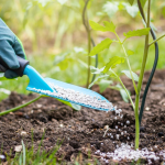 Best Raised Garden Beds With Trellis for Your House in 2025