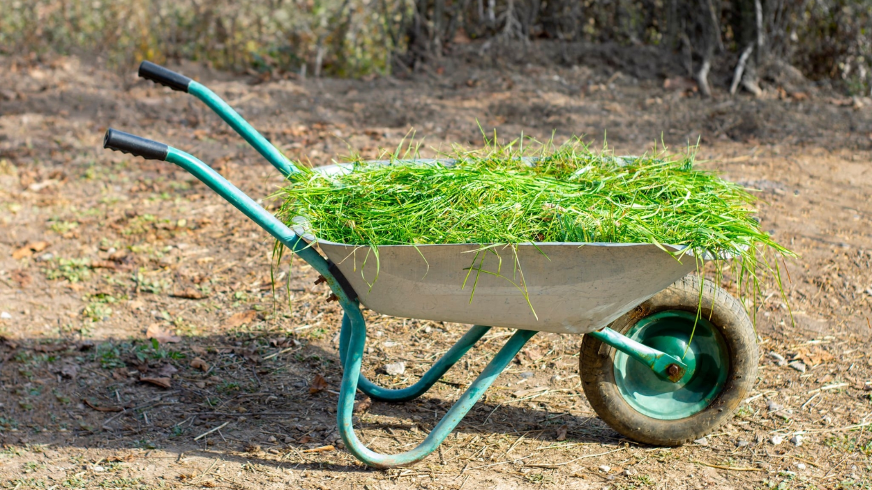 Weed Control in Composting: Best Practices for a Healthy Pile